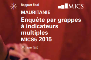 2015 MICS