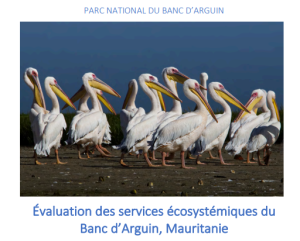 2018 Évaluation des services écosystémiques du Banc D'arguin