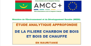 Etude chaine de valeur bois energie Mars 2023