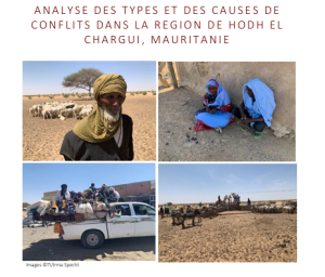 Analyse des types et causes de conflits dans la région du HEC, Mauritanie de 2020 Pnud0