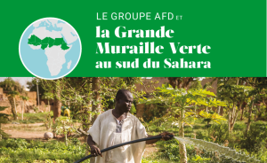  la Grande  Muraille Verte  au sud du Sahara