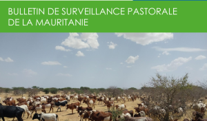 Bulletin surveillance pastorale Mauritanie Octobre-Novembre 2025