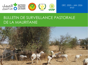 Bulletin surveillance pastorale Mauritanie décembre 2025 janvier 2026
