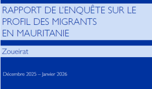 Profil des migrants à Zoueirat 
