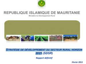 Stratégie de développement du Secteur Rural Horizon 2025 SDSR