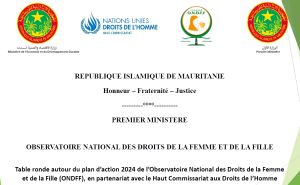 Plan d'action 2024 Observatoire National des Droits de la Femme et de la Fille