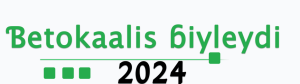 Ɓetokaalis þiyleydi  2024