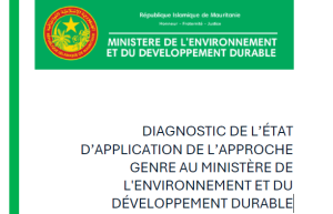 Diagnostic de l’état d’application de l’approche Genre au ministère de L'environnement et du Développement durable (MEDD)