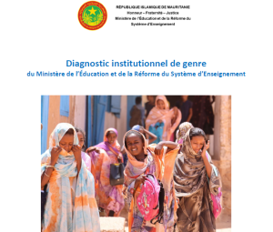 Diagnostic institutionnel de genre du Ministère de l’éducation et de la réforme du système d’enseignement MERSE 
